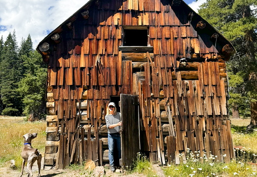 Big Trees Aug 2024 - FSB