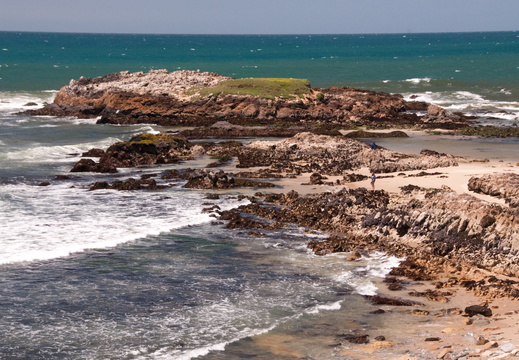 Scavenger Hunt - Barb